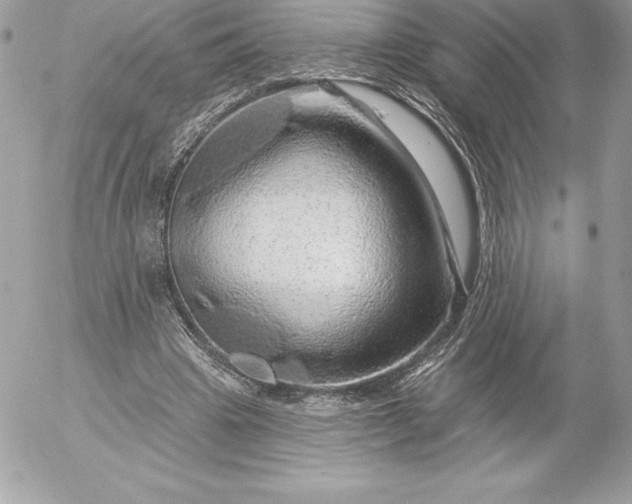 X0000052930441200507221125