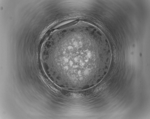 X0000052930442200507221125