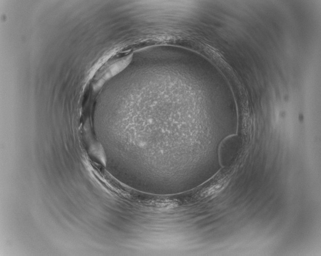 X0000052930443200507221125