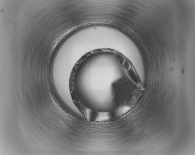 X0000052930444200507221125