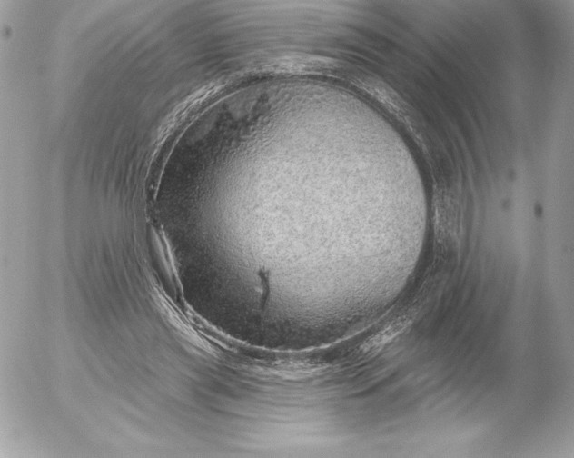 X0000052930445200507221125