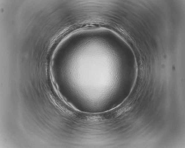 X0000052930446200507221125