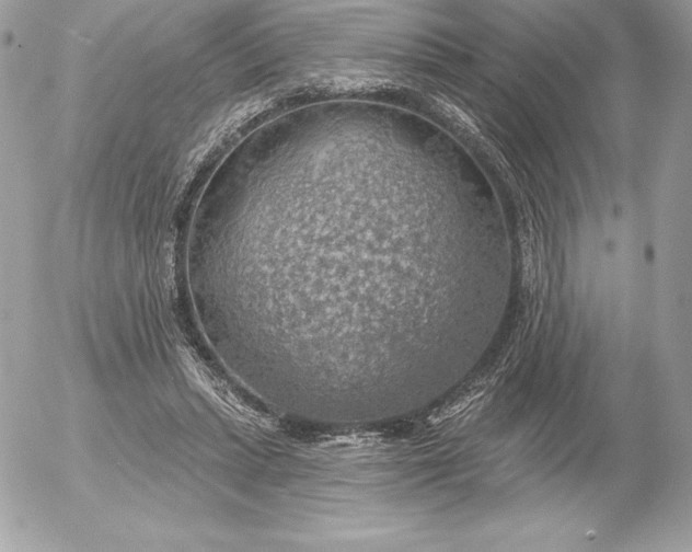 X0000052930447200507221125