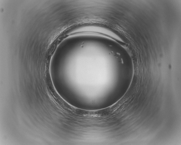 X0000052930448200507221125