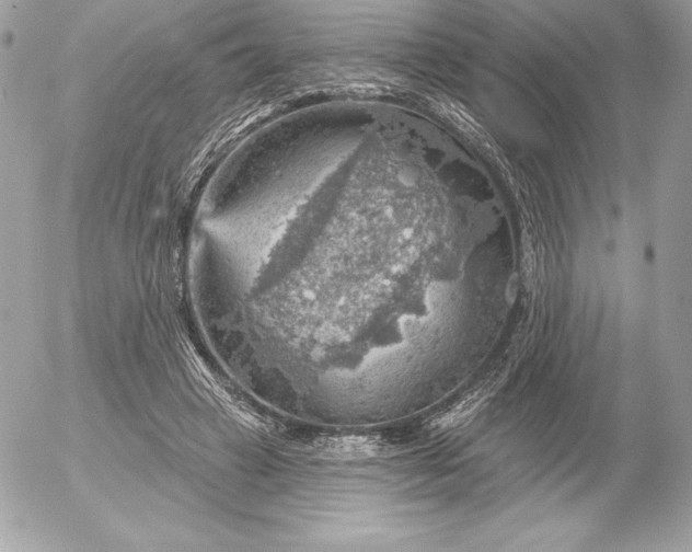 X0000052930449200507221125