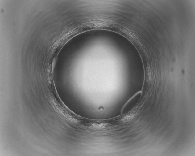 X0000052930450200507221125