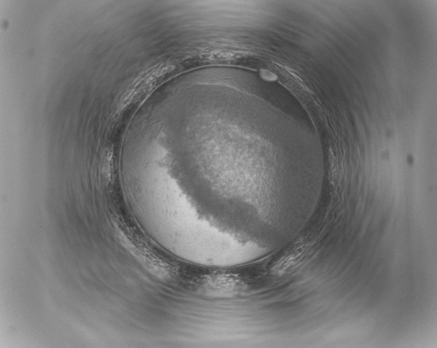 X0000052930451200507221126