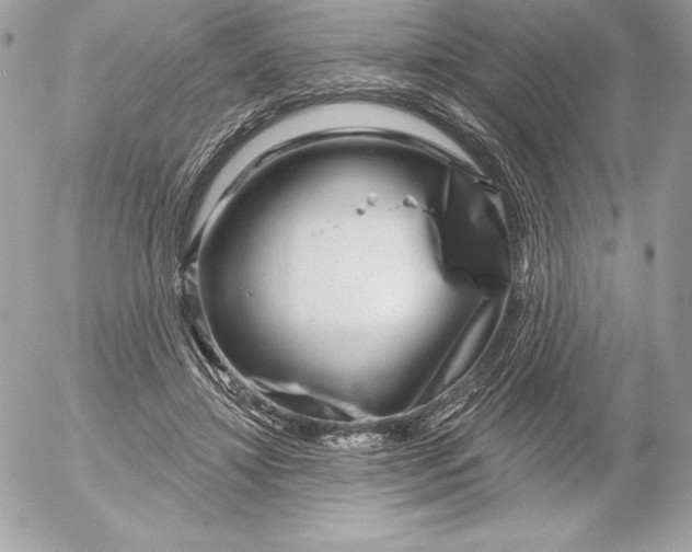 X0000052930452200507221126