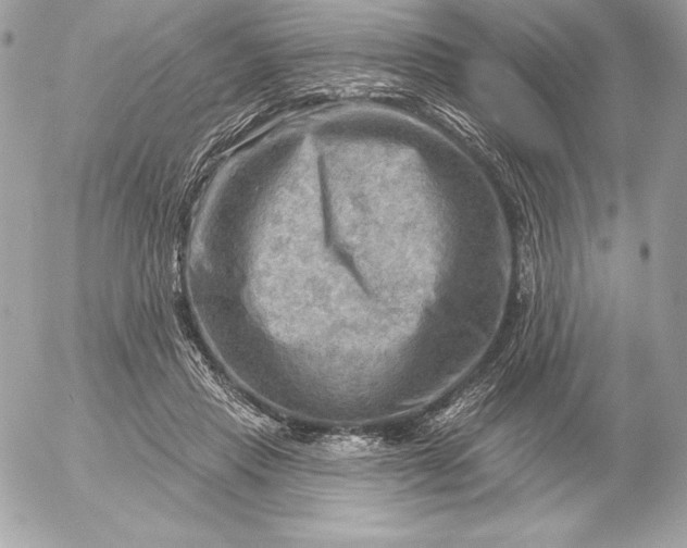 X0000052930453200507221126