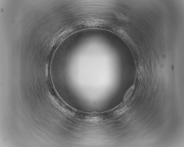 X0000052930454200507221126