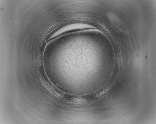 X0000052930455200507221126