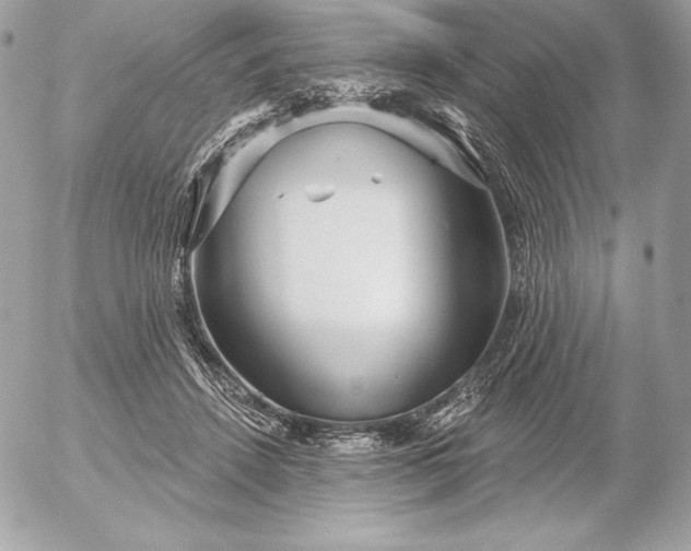 X0000052930456200507221126