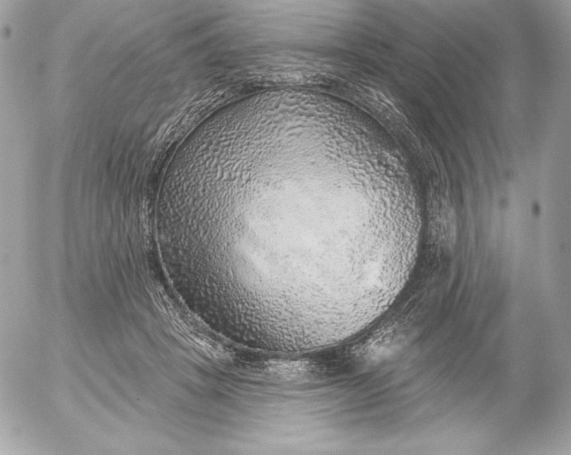 X0000052930457200507221126