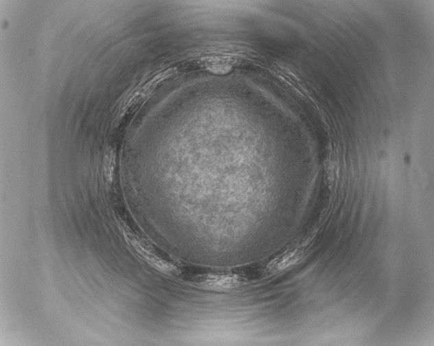 X0000052930458200507221126