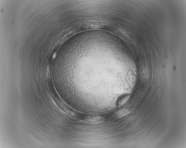 X0000052930459200507221126