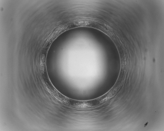 X0000052930460200507221126