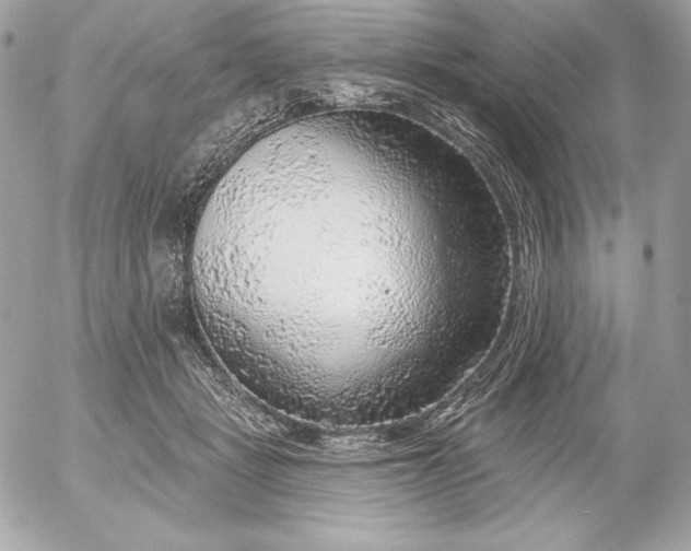 X0000052930461200507221126