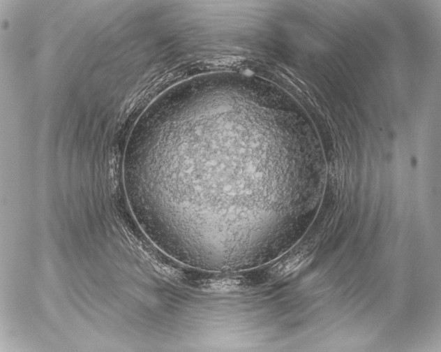 X0000052930462200507221126