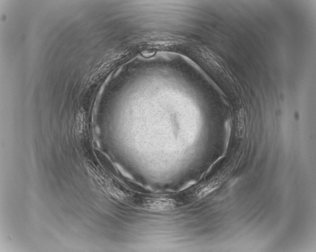 X0000052930463200507221126