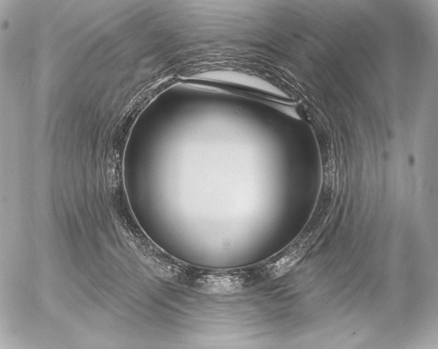 X0000052930464200507221126