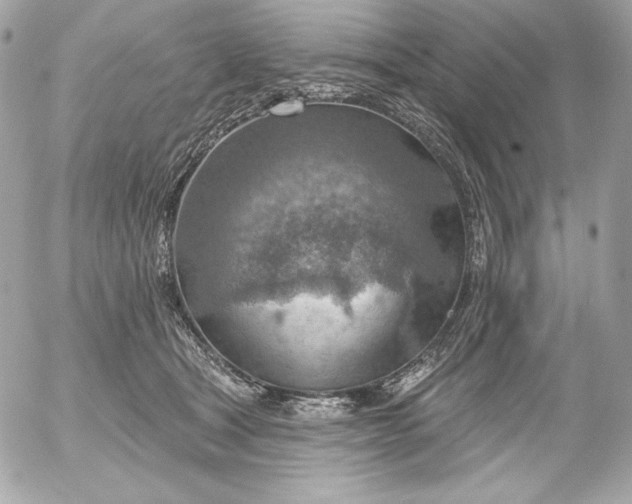 X0000052930465200507221126