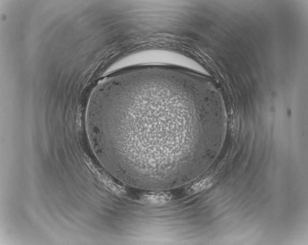 X0000052930466200507221126