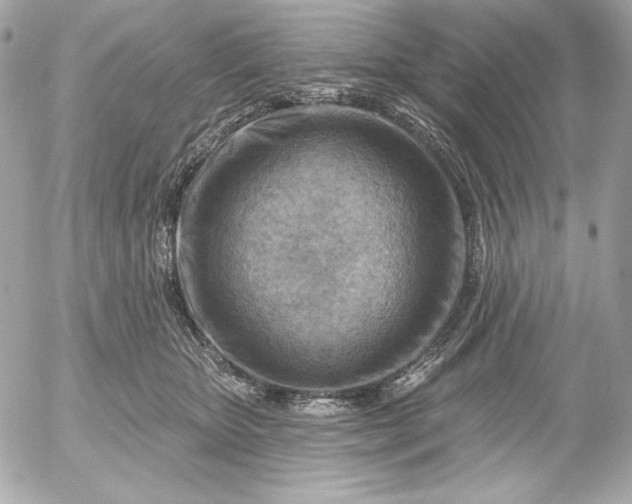 X0000052930467200507221126