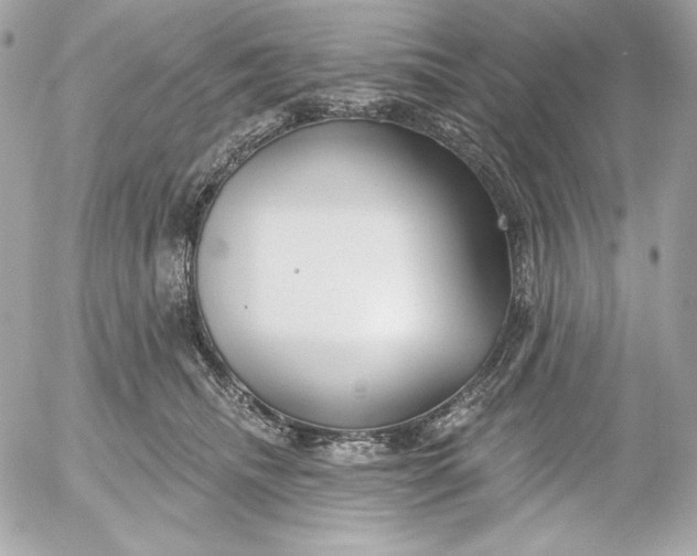 X0000052930468200507221126