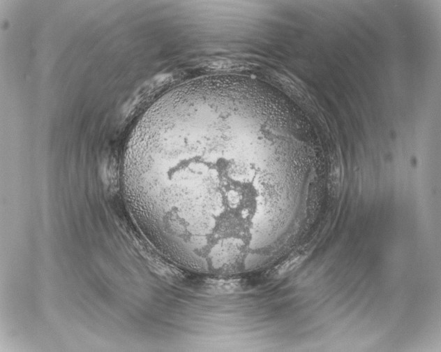 X0000052930469200507221126