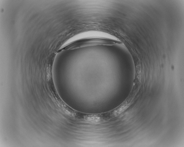 X0000052930471200507221126