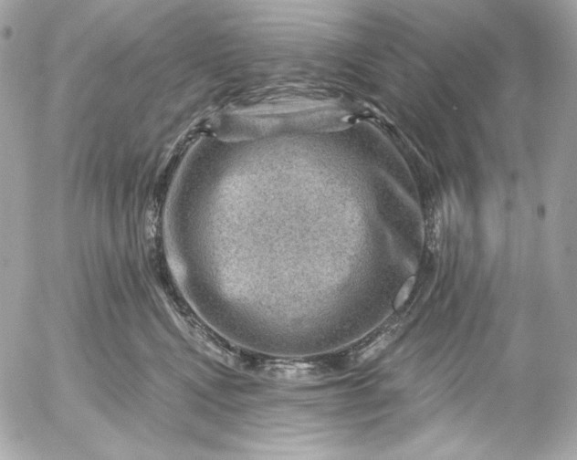 X0000052930472200507221126