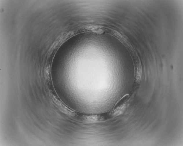 X0000052930473200507221126