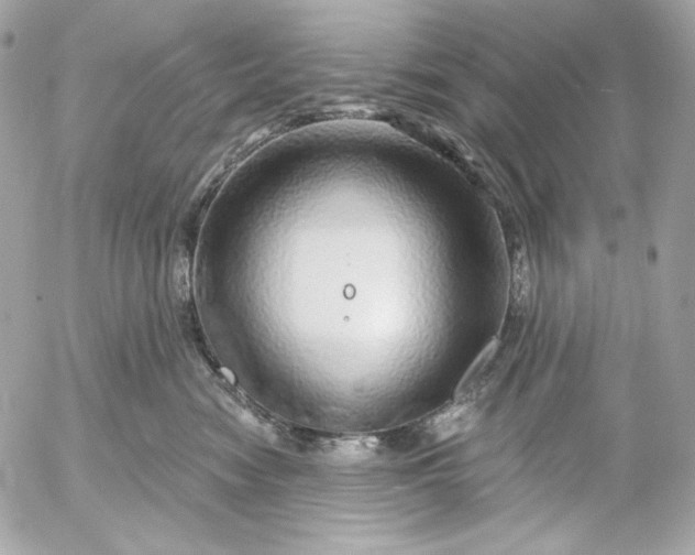 X0000052930474200507221126