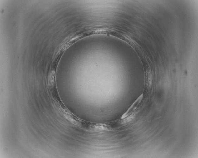 X0000052930475200507221126