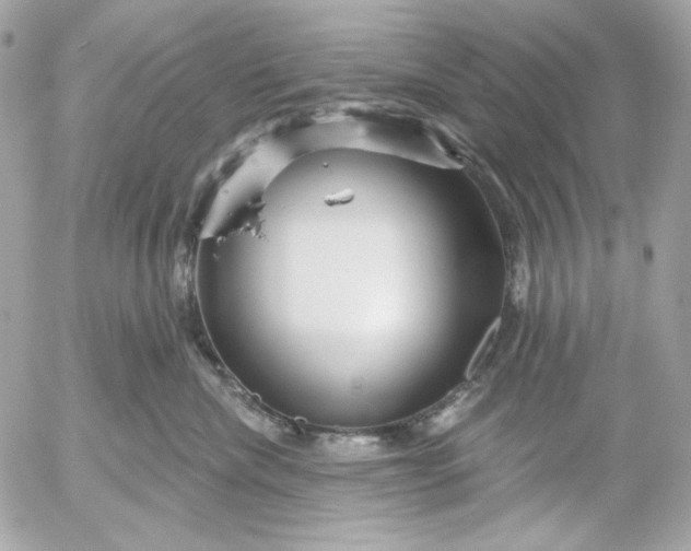 X0000052930476200507221126