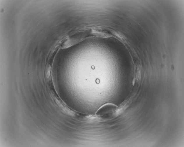 X0000052930477200507221126