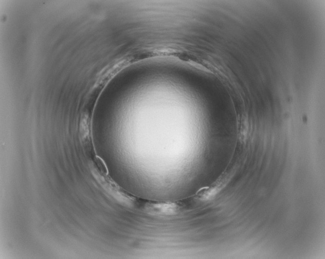 X0000052930478200507221126