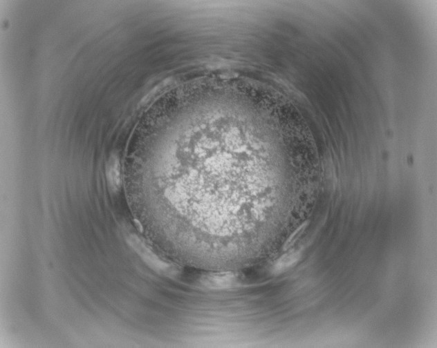 X0000052930479200507221126