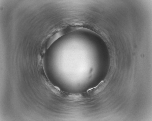 X0000052930480200507221126