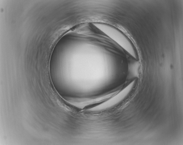 X0000052930481200507221125