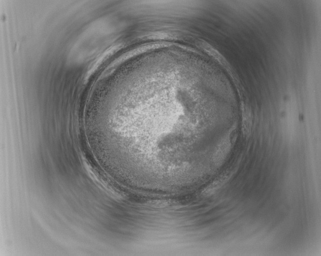 X0000052930482200507221125