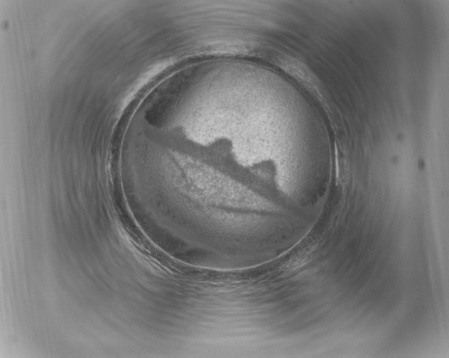 X0000052930483200507221125