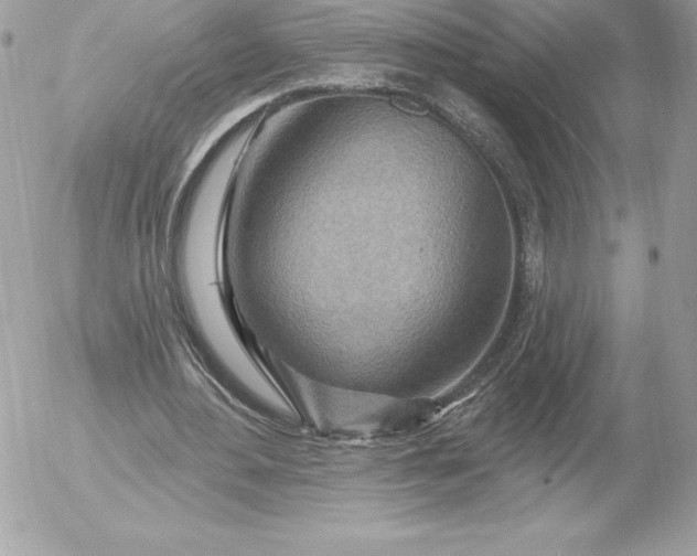 X0000052930484200507221125