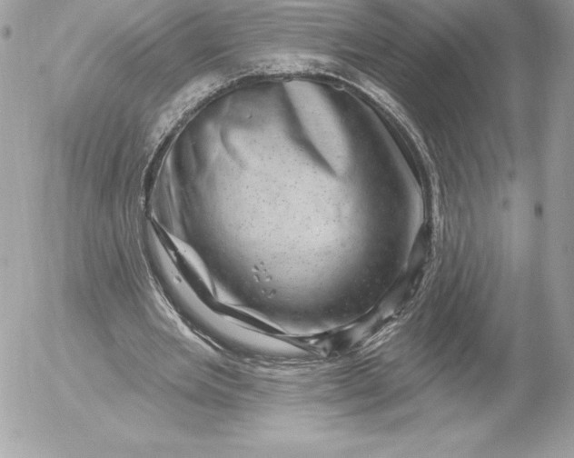 X0000052930485200507221125