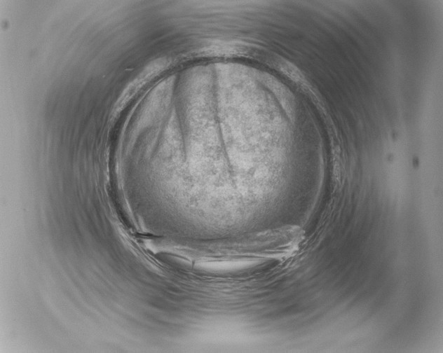 X0000052930486200507221125