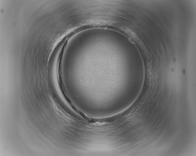 X0000052930488200507221125