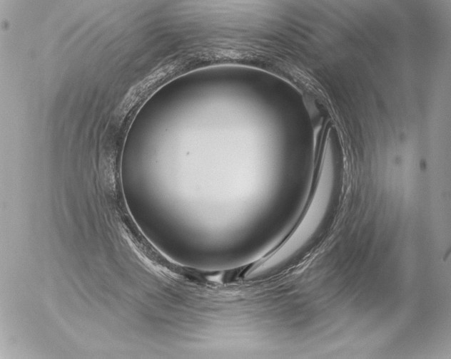 X0000052930489200507221125