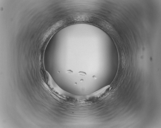 X0000052930490200507221125