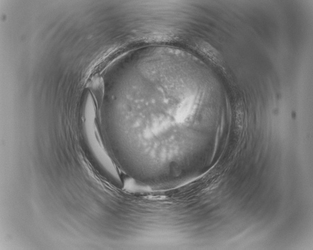 X0000052930491200507221125