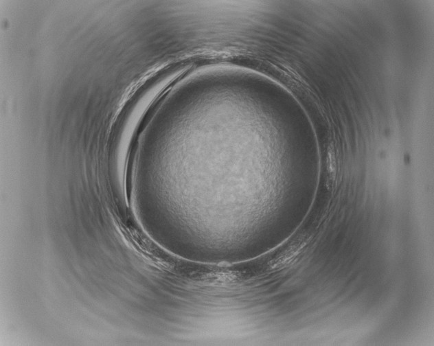 X0000052930492200507221125